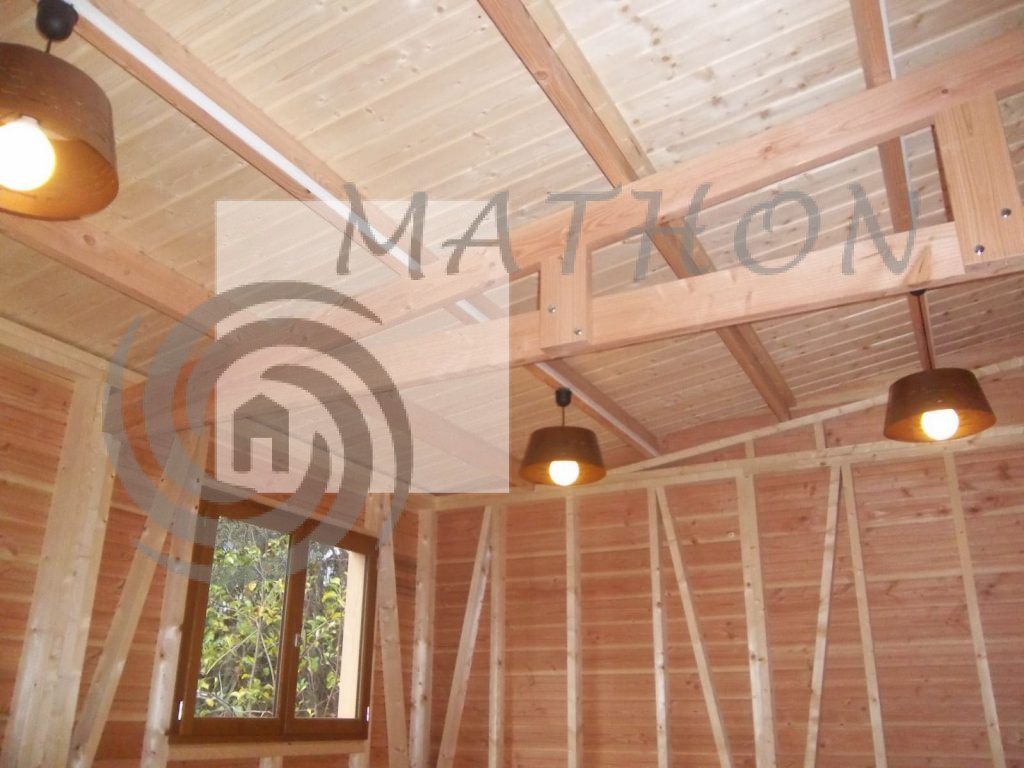 Cabane-toiture